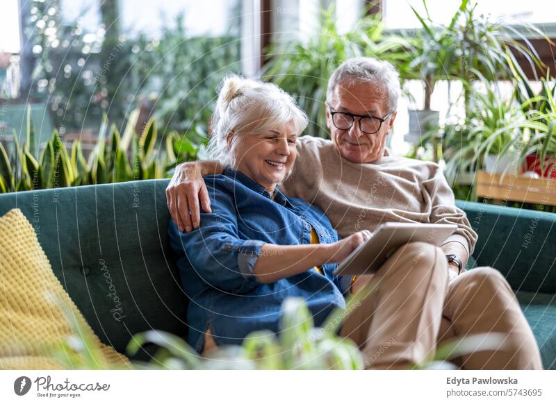 Glückliches älteres Paar, das ein digitales Tablet benutzt, während es auf dem Sofa im Wohnzimmer sitzt Menschen Kaukasier graue Haare lässig Tag Porträt