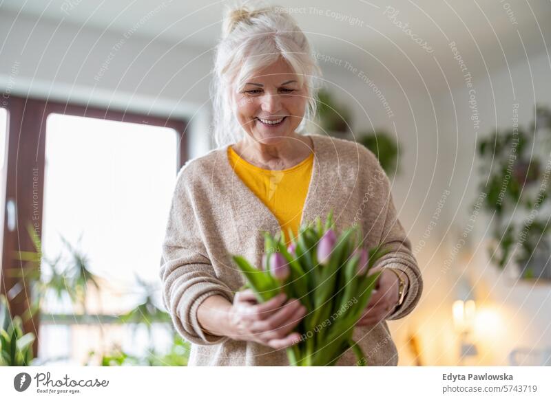 Glückliche ältere Frau mit Tulpenstrauß in Vase zu Hause Menschen lässig Tag Porträt im Innenbereich echte Menschen weiße Menschen Erwachsener reif