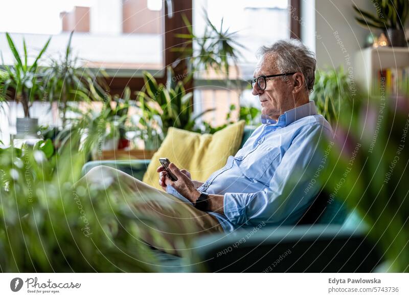 Älterer Mann, der ein Mobiltelefon benutzt, während er zu Hause auf dem Sofa im Wohnzimmer sitzt Menschen Kaukasier graue Haare lässig Tag Porträt