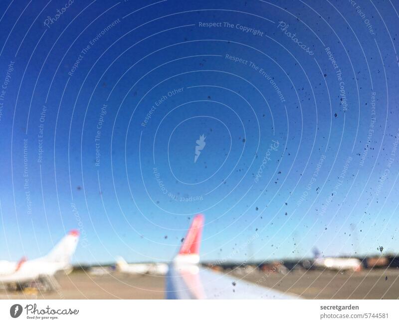 Dioptrin -3 unscharf sehen Augen Flughafen Flugzeug Flugplatz Scheibe Punkte dreckig Fokus Flugzeugträger Rollfeld Himmel Wolkenloser Himmel Luftverkehr