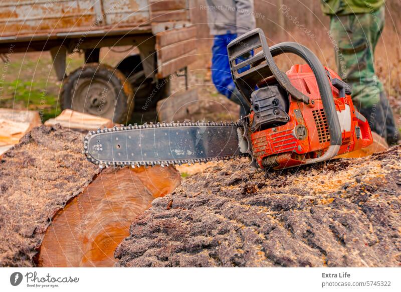 Motorkettensäge auf frisch gesägtem Baumstamm, Holzscheit auf dem Boden Klinge Kettensäge anketten hacken geschnitten Entwaldung Ökologie gefällt Feller