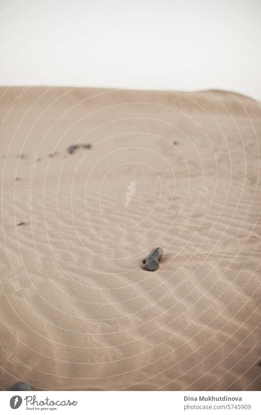 Wüste beige Sanddünen Landschaft Bokeh Hintergrund und Stein auf sie Großaufnahme wüst Düne Dunes Natur Ferien & Urlaub & Reisen Farbfoto reisen Strand