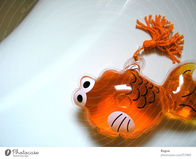 Plastik Bad Haarwaschmittel Wasser Gel Badewanne Goldfisch Sauberkeit rein Fisch fish water Dekoration & Verzierung orange pastik