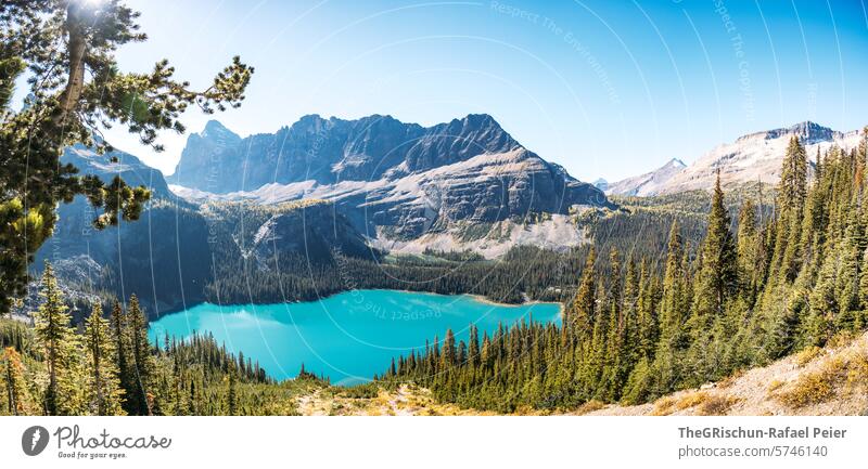 Panorama von türkisblauen see umgeben von Wälder und Berge See Kanada Wasser Berge u. Gebirge Rocky Mountains Urlaub reisen wandern Lake O'Hara wälder