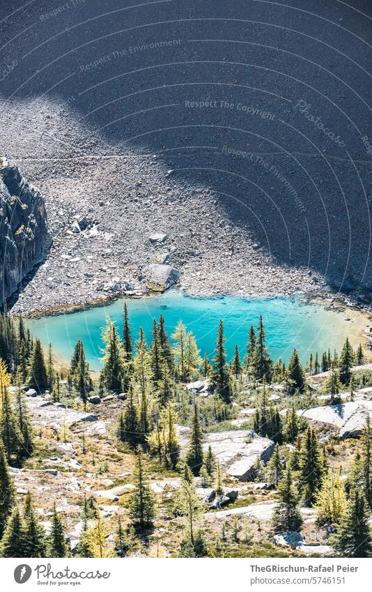 Bild von sureal klarem See inmitten von Bergen Kanada Wasser Berge u. Gebirge Rocky Mountains Urlaub reisen wandern Lake O'Hara wälder Ferien & Urlaub & Reisen