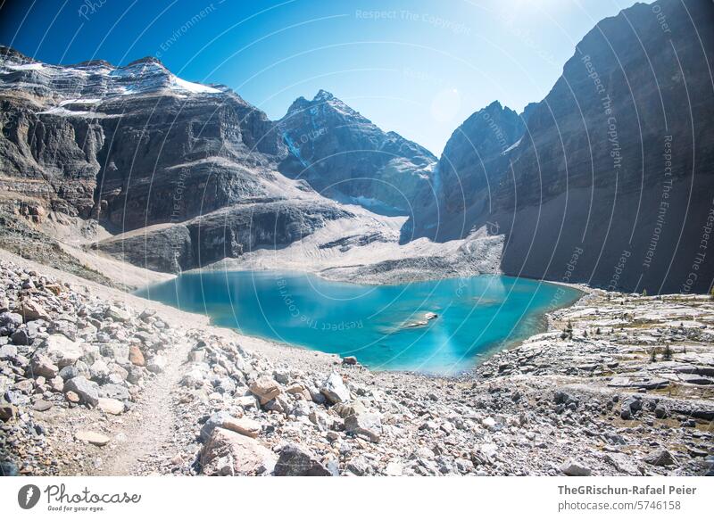 Gletschersee umgeben von Bergen See Kanada Wasser Berge u. Gebirge Rocky Mountains Urlaub reisen wandern Lake O'Hara wälder Ferien & Urlaub & Reisen Landschaft