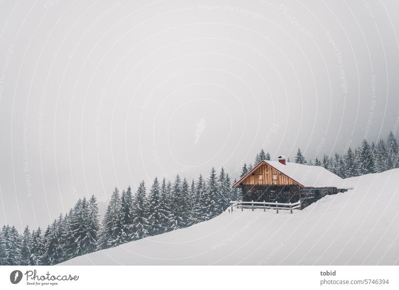 Berghütte im Schnee Berge u. Gebirge Idylle Menschenleer Einsamkeit Wald Winterwald Tanne Holzhütte Bergflanke Nebel weiß Winterstimmung Landschaft