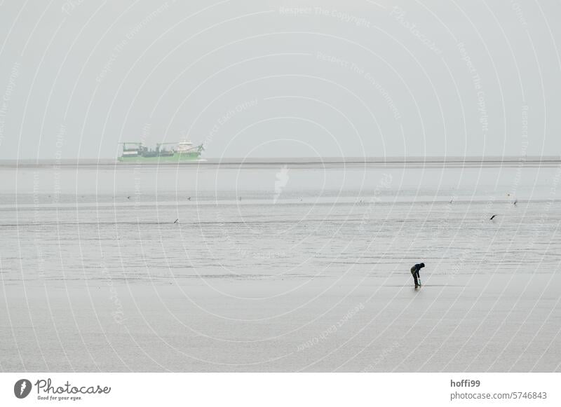 minimalistisch Szene mit Schiff und Mensch im Wattenmeer bei auf laufendem Wasser Wattenmeer an der Nordsee Küste Gezeiten Schlick Wattwanderung Nordseeküste