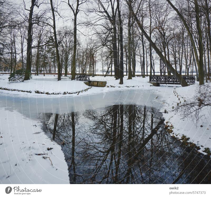 Winterpark Schnee kalt Schneedecke Wasserweg Wasserspiegelung fießend glänzend gemächlich Bach geheimnisvoll melancholisch draußen Wasseroberfläche Einsamkeit