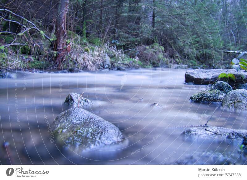 Langzeitbelichtung eines Flusses, Steine im Vordergrund. Wald im Hintergrund Blatt Wasser schnell nass Wanderer beruhigend strömen Tal Frühling Erfrischung
