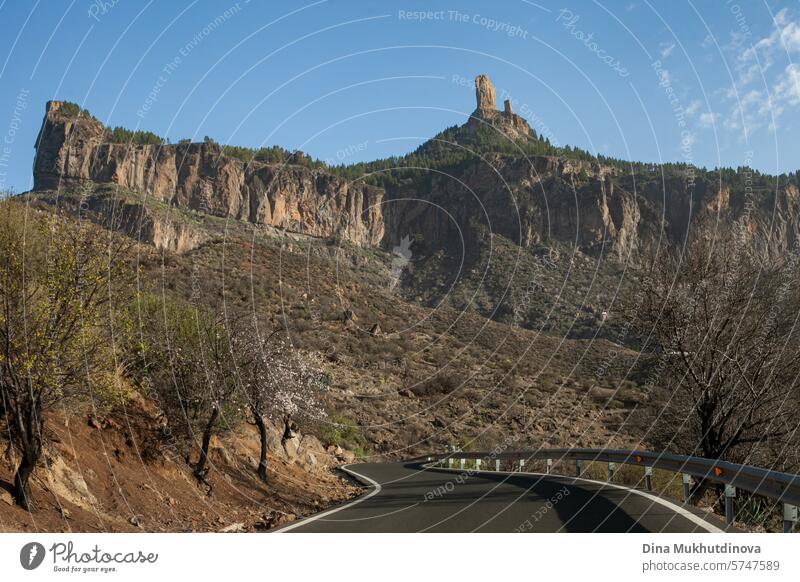 Kurvenreiche Straße in den Bergen mit Blick auf Felsen und Berggipfel bei sonnigem Wetter auf der Insel Gran Canaria Serpentinen Abenteuer Autoreise reisen