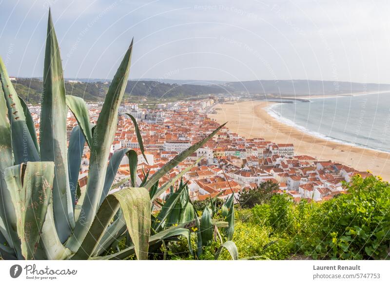 Luftaufnahme des Strandes von Nazaré und des Atlantischen Ozeans, Portugal atlantisch Großstadt Küste Ausflugsziel Erkundung Feiertag Reise Landschaft Natur