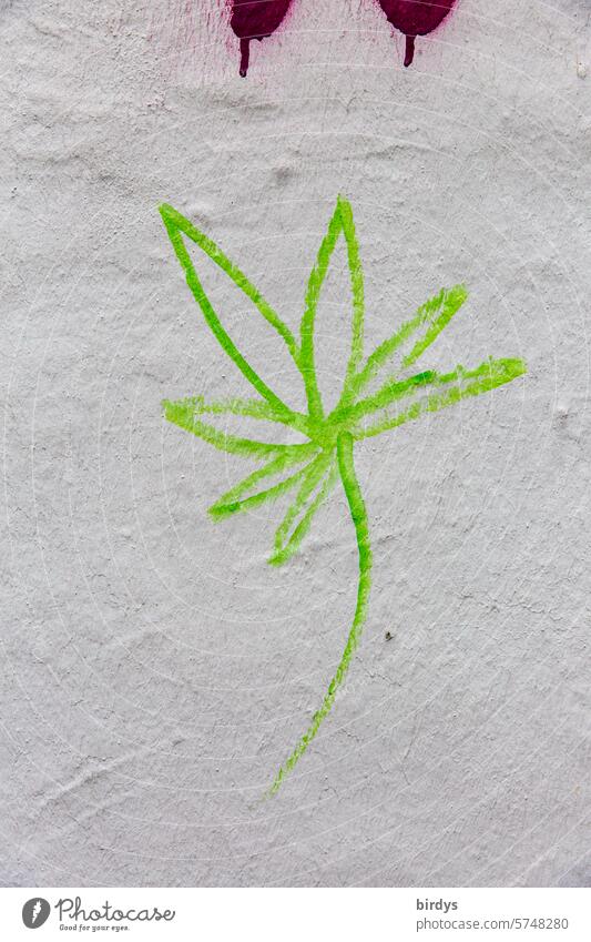aufgemaltes Marihuanablatt Cannabis kiffen Symbol grün Hanf Hanfblatt Neutraler Hintergrund legalisieren symbolisch