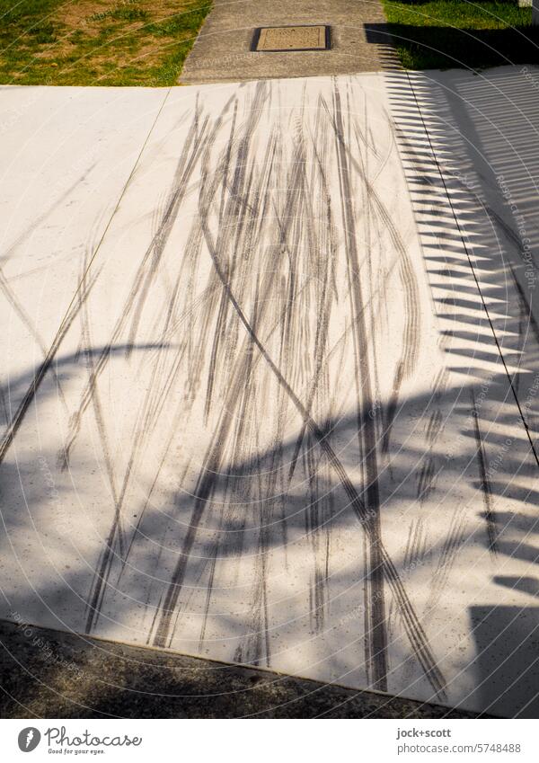 Spuren von Fahrradreifen auf einem weißen Gehweg Reifenspur Gateway Stockade Schattenspiel Bürgersteig Silhouette Sonnenlicht Strukturen & Formen Goldküste