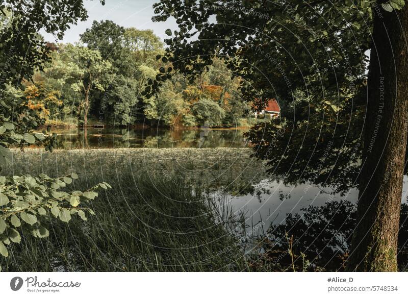 Naturreisen Deutschland Nordrhein-Westfalen Gegend Herbst Hintergrund schön Schönheit blau farbenfroh kultureller Schutz Umwelt fallen Fauna Flora Wald Gras