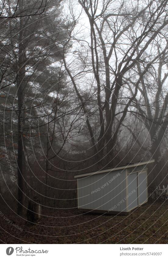 Morgennebel im Hinterhof Nebel Natur Windstille Baracke morgens Nebelstimmung im Freien
