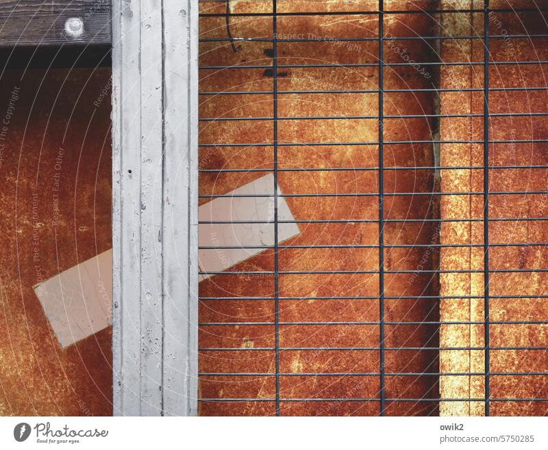 Sperrgebiet Gitter Durchblick Nahaufnahme Holzwand rötlich verfallen trashig Farbfoto Vergänglichkeit Gittertür Strukturen & Formen Metall Außenaufnahme obskur
