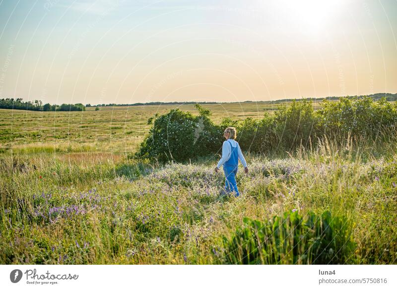 entspannte junge Frau mit Sonnenbrille läuft auf einer Blumenwiese frau spazieren Wiese verträumt wandern Dämmerung träumen geniessen nachdenklich Wildblumen