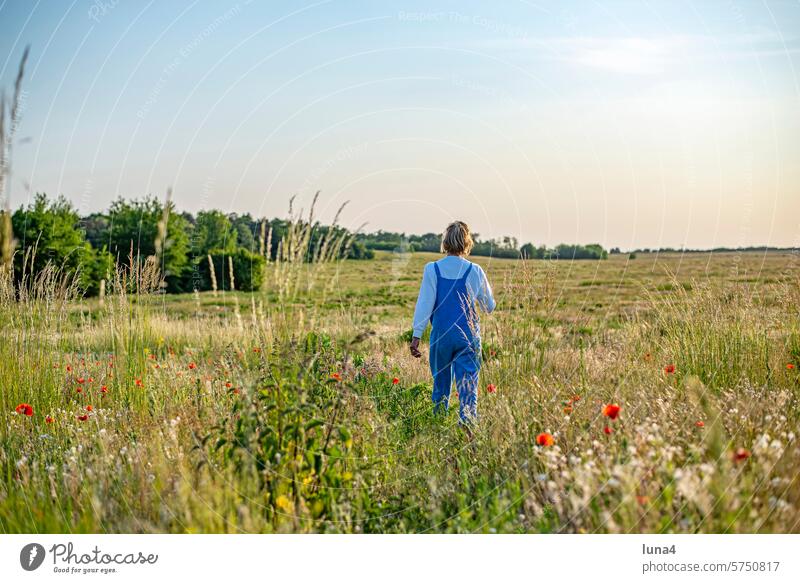 entspannte junge Frau läuft auf einer Blumenwiese, Rückansicht frau spazieren Wiese verträumt wandern Dämmerung träumen geniessen Sonne nachdenklich Wildblumen