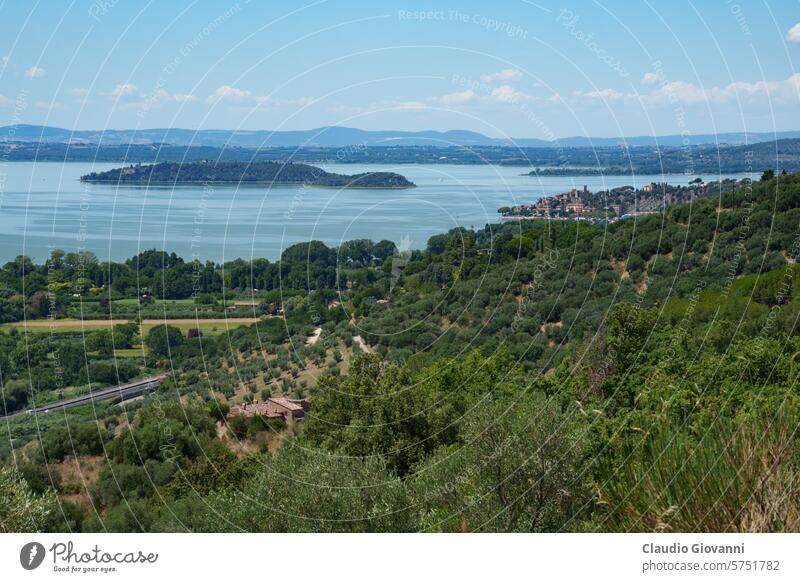 Der Trasimeno-See im Sommer in der Nähe von Passignano Europa Italien Juli Perugia Umbrien Farbe Tag Landschaft Natur oliv Fotografie sonnig reisen Baum Wasser