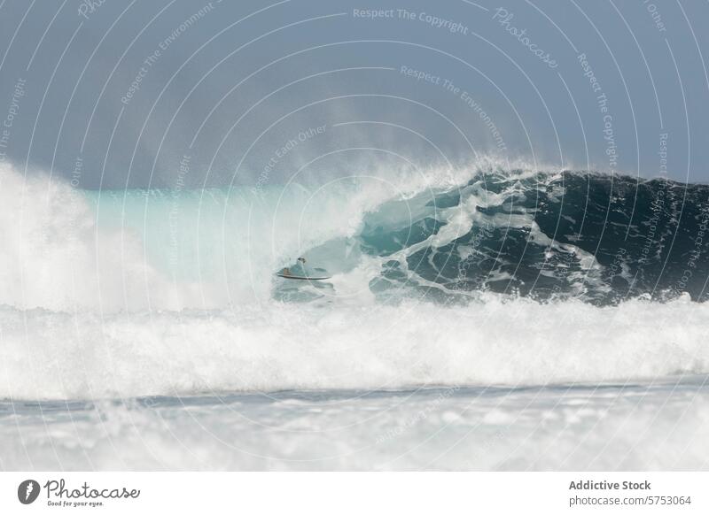 Surfer, der eine prächtige Meereswelle bezwingt winken Brandung Surfbrett Wasser MEER Sport extrem Abenteuer Natur aquatisch Aktion Mitfahrgelegenheit schäumen