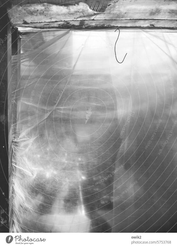 Bis auf weiteres Cellophan Plane durchscheinend Licht Schwarzweißfoto Haken oben hängend Detailaufnahme Gärtnerei Gewächshaus Menschenleer Sonnenlicht
