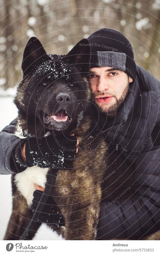 Ein Mann in einer Jacke und einer Strickmütze geht mit einem amerikanischen Akita-Hund spazieren Alaska akita Amerikaner Tier schwarz züchten braun Wald