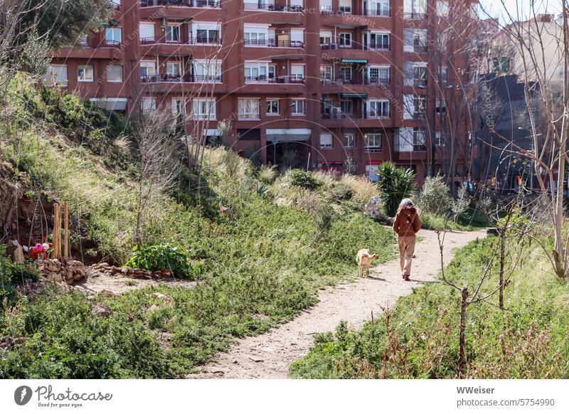 Ein etwas verwahrlostes Fleckchen Grün an einem Hügel mitten im Wohnbezirk, optimal zum Gassi-Gehen am Morgen Hund ausführen spazieren Kiez wohnen mieten