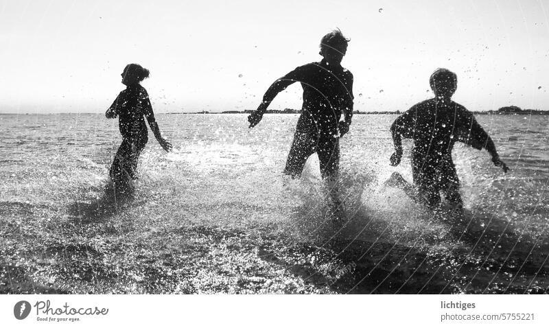 Wasserläufer- drei Kinder, die im Gegenlicht durch Wasser rennen laufen spritzer freude gegenlicht sonne