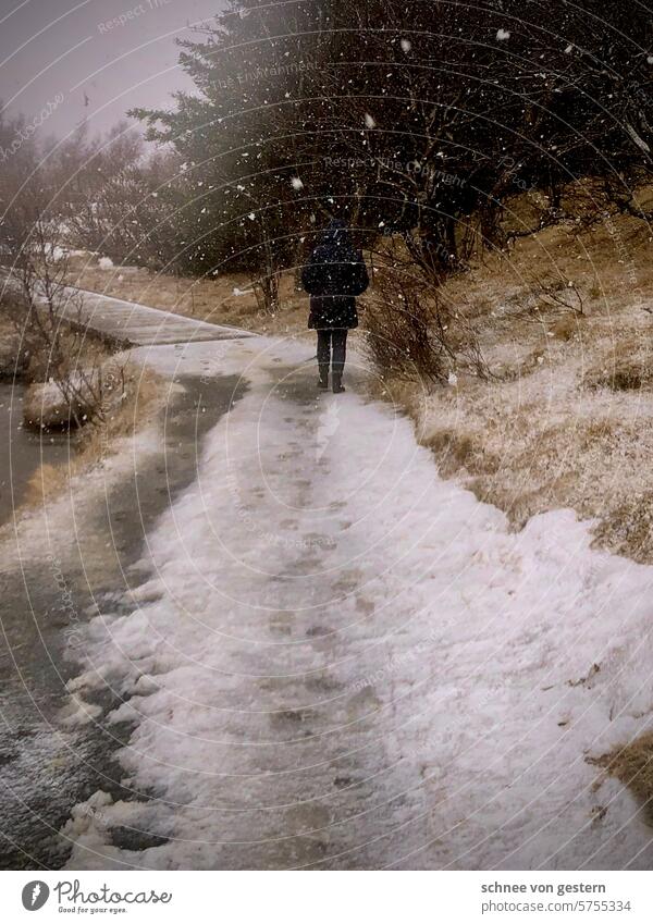 Schneespaziergang Spaziergang Weg Eis Frost Schneeflocken kalt Winter weiß Wetter Natur gefroren Landschaft Außenaufnahme Wintertag frieren Island Kälte Umwelt