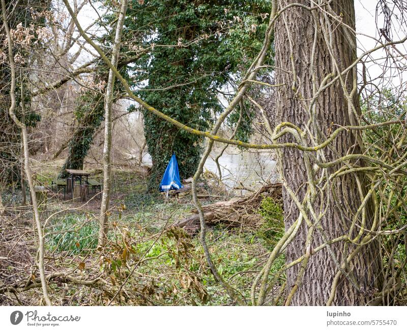 Blauer Sonnenschirm lehnt an einem mit Efeu bewachsenen Baum Weide Bierbank Biertisch alt Lianen Fluss Bayern Ufer wild Frühjahr grün Natur Ruhe Durchblick