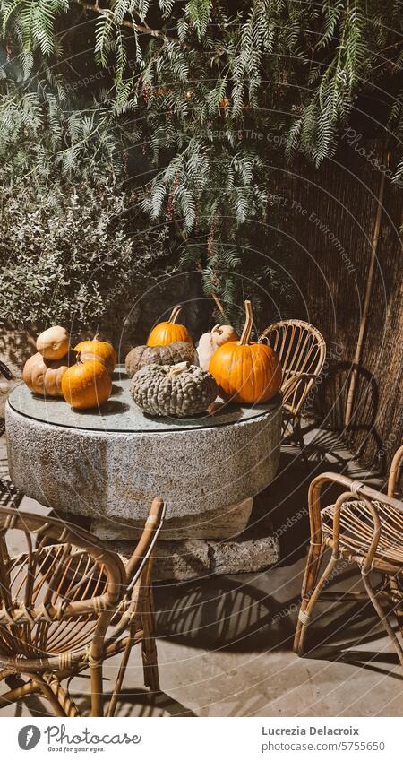 Kürbisse und Herbststimmung fallen Blätter Holz gemütlich Ambiente Tisch Bäume grün orange Dekor heimwärts Design Innenarchitektur saisonbedingt Erntedankfest