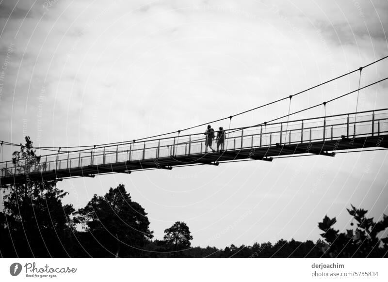 Zwei auf einer Hängebrücke Außenaufnahme Abenteuer Architektur Bauwerk Menschenleer Tag Brücke Sehenswürdigkeit Textfreiraum oben Starke Tiefenschärfe