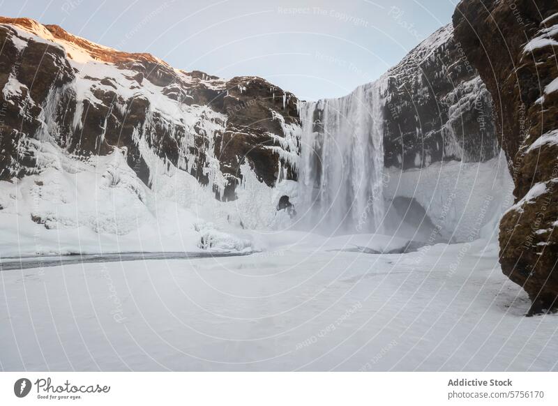 Majestätischer eisiger Wasserfall in Island Eis Schnee Landschaft Winter Kaskade gefroren Natur Klippe kalt reisen majestätisch im Freien natürlich Schönheit