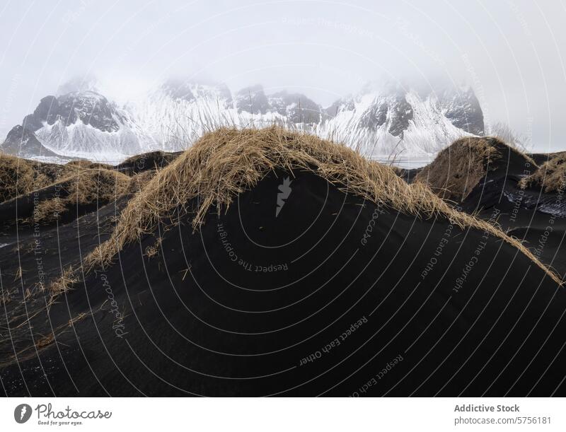 Schwarze Sanddünen mit schneebedeckter Bergkulisse in Island Landschaft Berge u. Gebirge Schnee schwarzer Sand Kontrast vulkanisch Natur kalt gedämpfte Farben