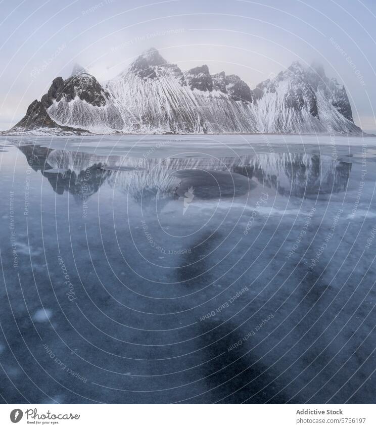 Eisige Reflexion der hohen Berggipfel in Island Berge u. Gebirge Reflexion & Spiegelung Gipfel Schnee gefroren Wasser Stimmung Himmel Winter glasartig