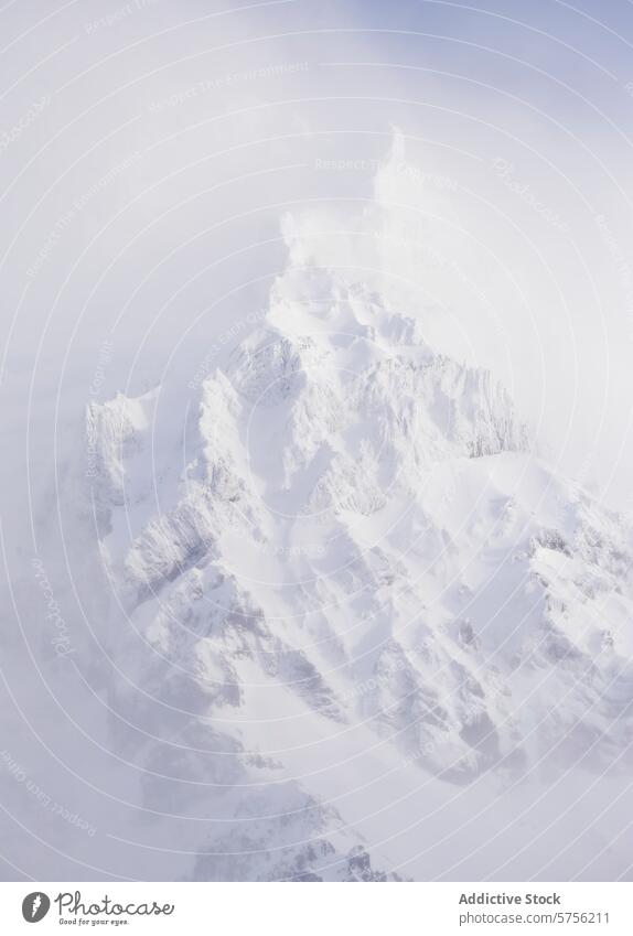 Ruhige schneebedeckte Gipfel in einer nebligen isländischen Landschaft Island Berge u. Gebirge Schnee Nebel Gelassenheit ätherisch weiß vereinzelt kalt Natur