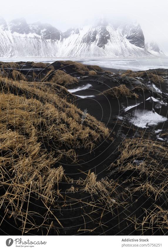 Vereister Bergblick mit schwarzen Sanddünen, Island Berge u. Gebirge Durchblick Schnee vulkanisch Hintergrund majestätisch schneebedeckt Ambitus Landschaft