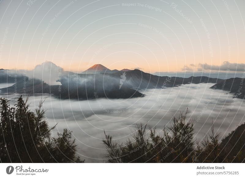 Mystischer Morgen über der indonesischen Vulkanlandschaft Indonesien Wolken Sonnenaufgang Gelassenheit Landschaft üppig (Wuchs) reisen Abenteuer Natur im Freien
