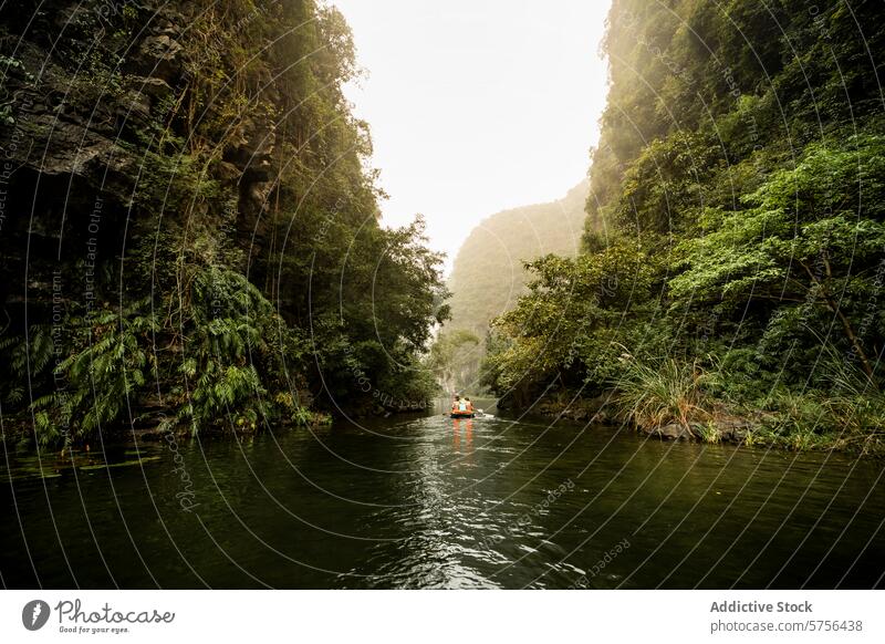 Ruhige Flusskreuzfahrt in Vietnams grüner Landschaft Kreuzfahrt ruhig Gelassenheit Reise üppig (Wuchs) ländlich Wasser reisen Abenteuer Natur Tourismus Boot