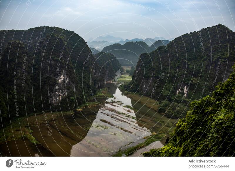 Malerische Karstgipfel und Flusslandschaft in Vietnam Landschaft Spitzenwerte Berge Wasser ruhig Natur dicht turmhoch natürlich Hoheit üppig (Wuchs) Grün