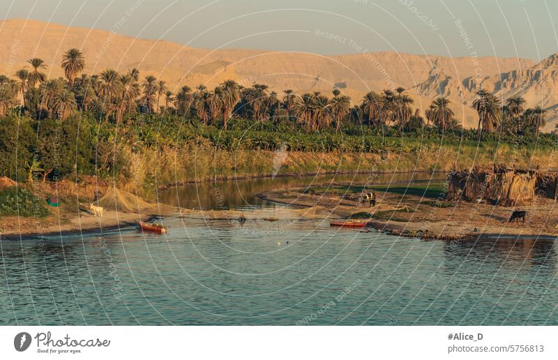 Abenteuerreisen Ägypten Nilkreuzfahrt Afrika Afrikanisch landwirtschaftlich Ackerbau arabisch Assuan Hintergrund Boot Kairo Landschaft Kreuzfahrt wüst