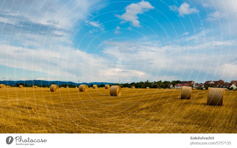 Landschaft mit abgeerntetem Feld mit Strohballen, blauer Himmel, Wolken landwirtschaftlich landwirtschaftliche Fläche Ackerbau Herbstlandschaft