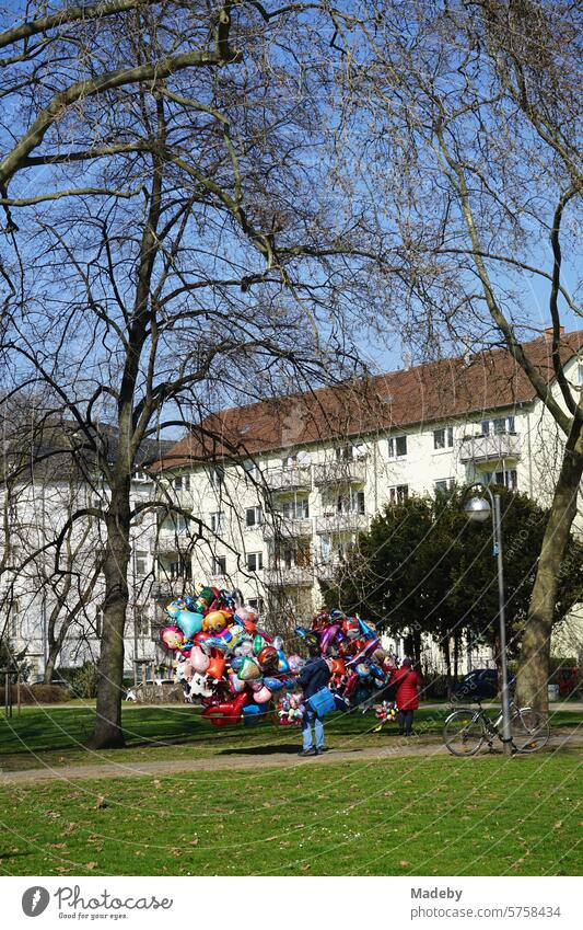 Ballonverkäufer im Frühling bei blauem Himmel und Sonnenschein im Park an der Friedberger Anlage in der Innenstadt von Frankfurt am Main in Hessen Baumkrone