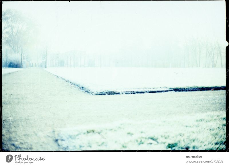 beim Joggen Lifestyle harmonisch Wohlgefühl Sinnesorgane Garten Sport Fitness Sport-Training wandern Kunst Natur Winter schlechtes Wetter Nebel Eis Frost Gras