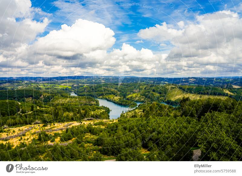 Blick auf die Genkeltalsperre und die umliegende Natur. Talsperre See Landschaft Panorama Wald Stausee Wolken Himmel Panorama (Aussicht) Idylle Weitwinkel