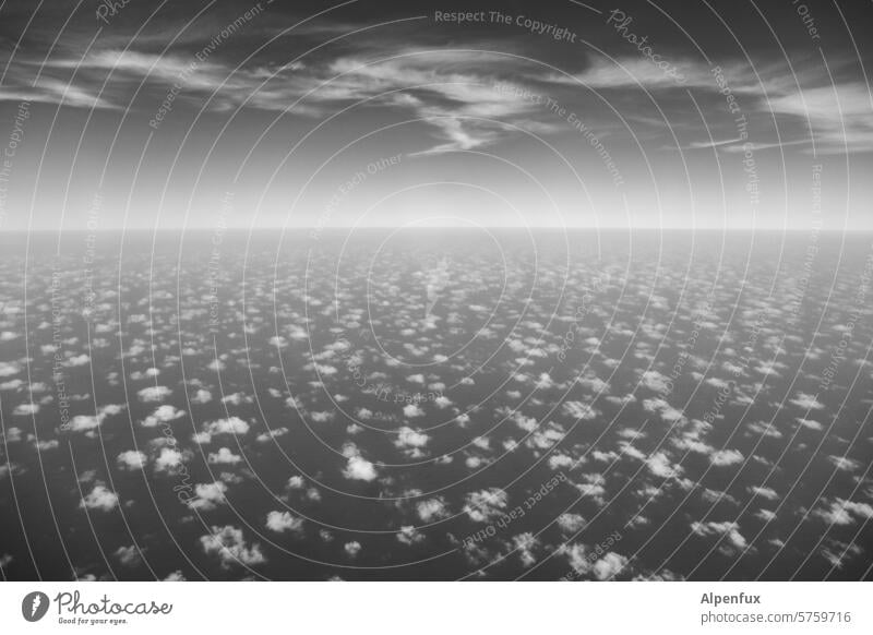 1600 Wölkchen Wolken Wolkenhimmel Horizont Himmel Vogelperspektive Ferne Menschenleer Außenaufnahme weite Flugzeug Flugzeugausblick fliegen