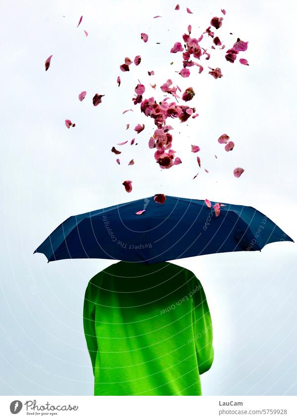 *800* Aprilschauer Frühlingswetter Wetter Regen Blütenblätter Blütenblatt Aprilwetter Regenschirm Regenschutz rosa grün Wetterkapriolen schlechtes Wetter Schirm