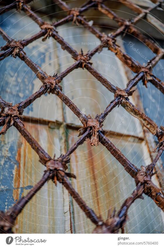 Der Zahn der Zeit - Verrostetes Gitter vor altem Fenster Rost verrostet verfallen angelaufen Metall Vergänglichkeit Verfall Detailaufnahme Strukturen & Formen