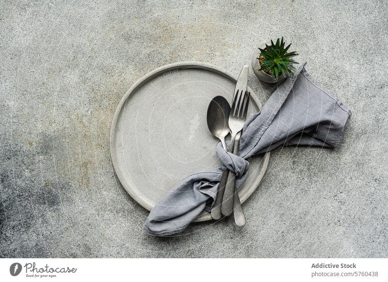 Draufsicht auf einen eleganten, minimalistisch gedeckten Tisch mit einem einfachen Keramikteller, silbernem Besteck, das in eine graue Serviette eingewickelt ist, und einer kleinen Sukkulentenpflanze, die für einen Hauch von Grün sorgt